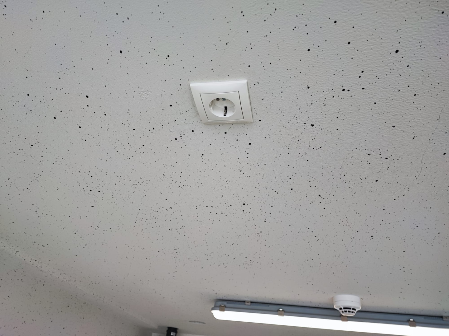 De sondert 4 — Venlo — Garagebox huren